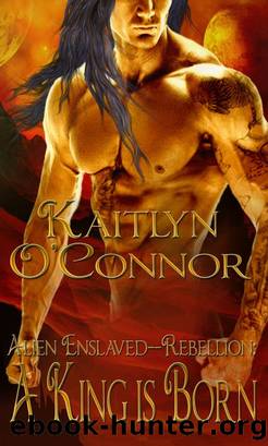 Birth of a King by Kaitlyn O'Connor