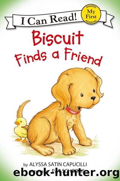 Biscuit Finds a Friend by Alyssa Satin Capucilli