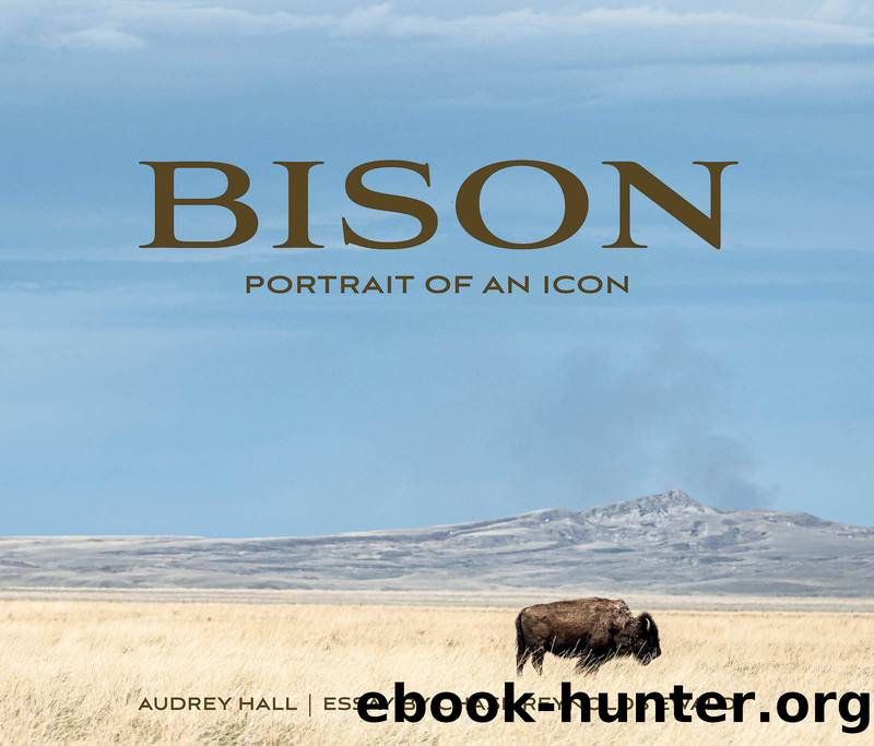 Bison: Portrait of an Icon by Audrey Hall Essay by Chase Reynolds Ewald