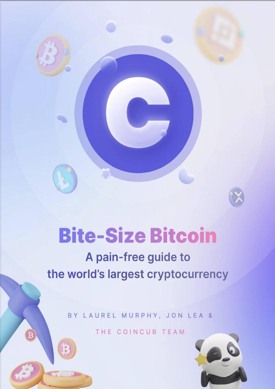 Bite-size bitcoin: A pain-free guide to the world's largest cryptocurrency by Coincub Team & Laurel Murphy & Jon Lea