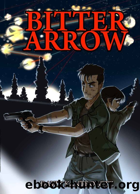 Bitter Arrow by David Kantrowitz