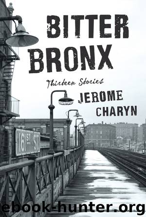Bitter Bronx: Thirteen Stories by Jerome Charyn