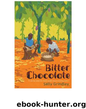 Bitter Chocolate by Sally Grindley
