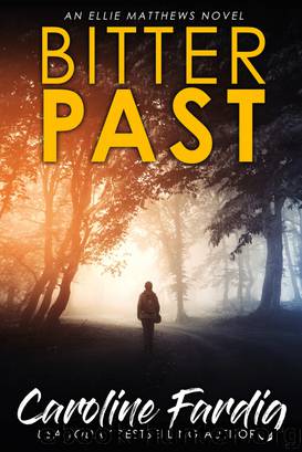 Bitter Past by Caroline Fardig