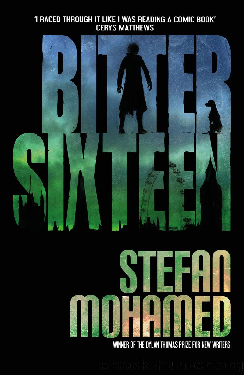 Bitter Sixteen by Stefan Mohamed