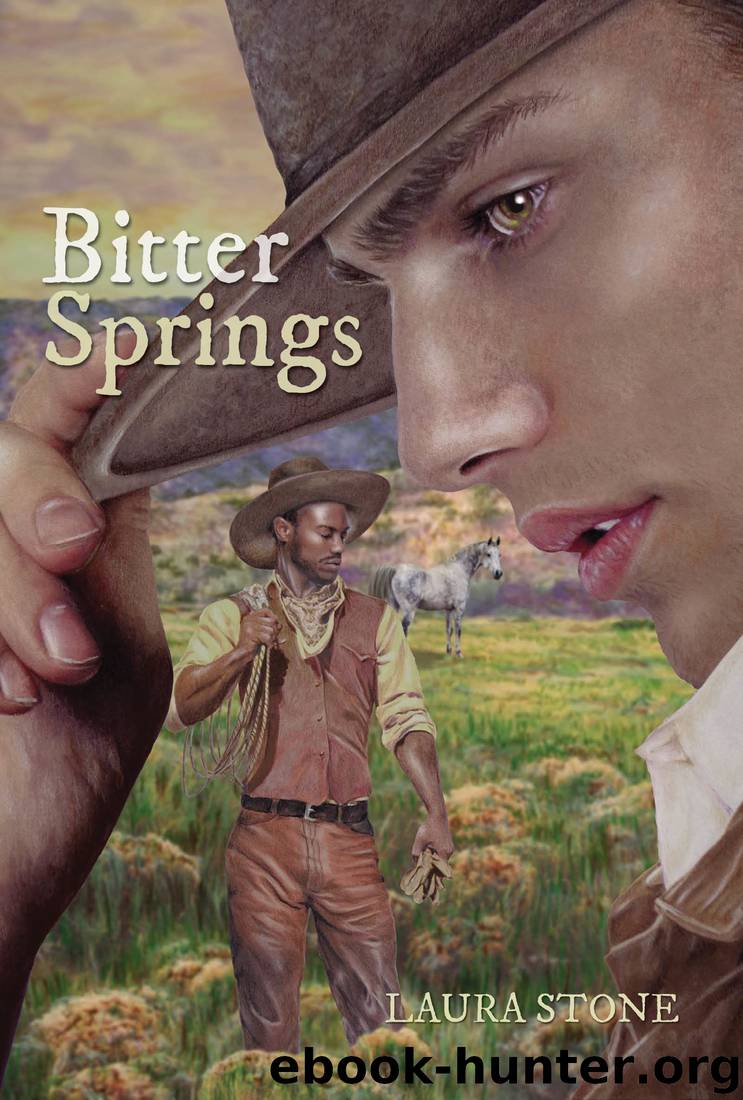 Bitter Springs by Laura Stone