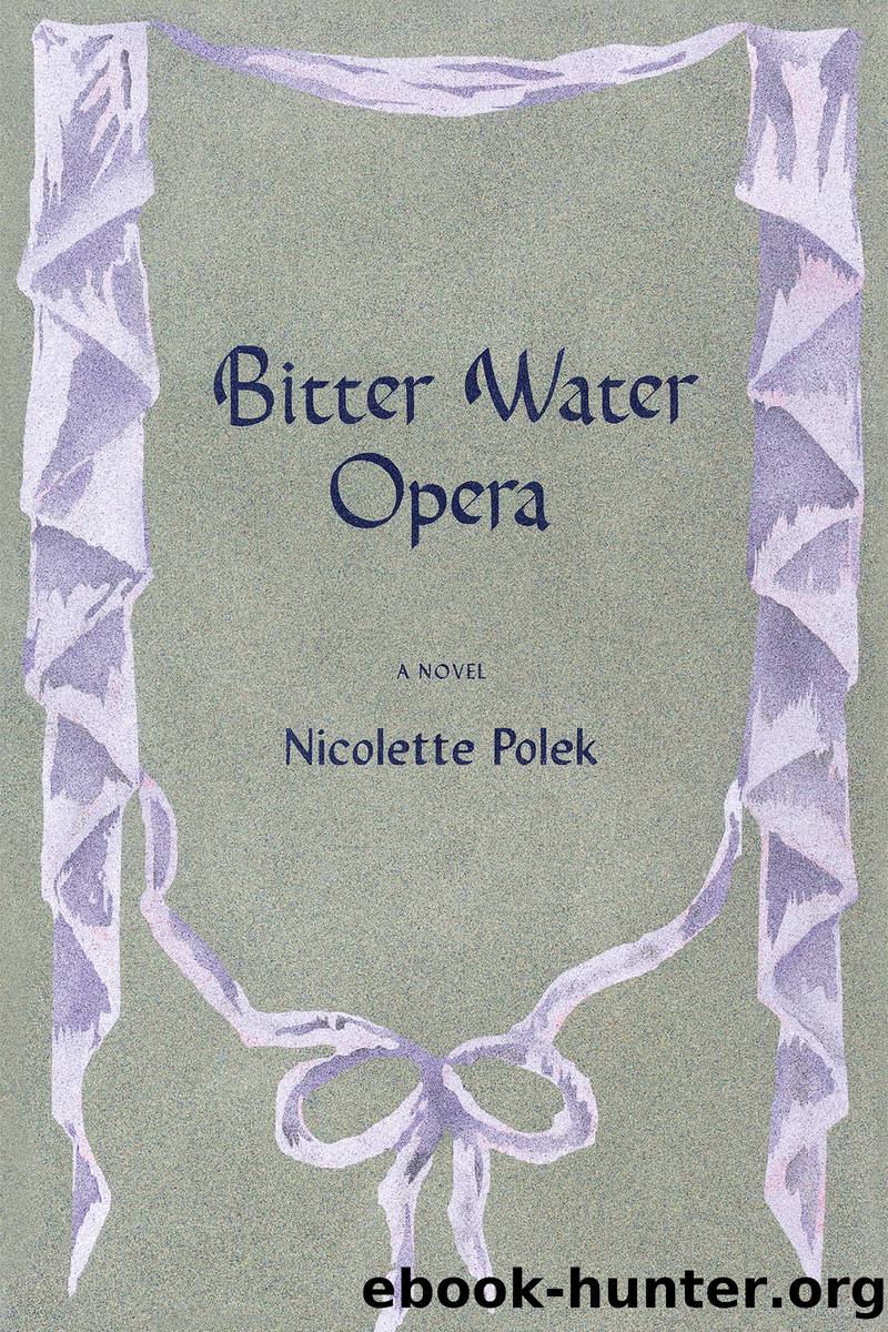 Bitter Water Opera by Nicolette Polek