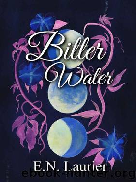 Bitter Water: Ringfall Book 1 by E.N. Laurier