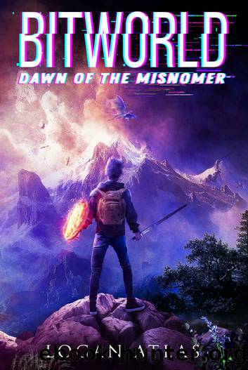 Bitworld: Dawn of the Misnomer by Logan Atlas