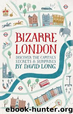 Bizarre London by David Long