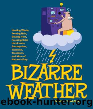 Bizarre Weather by Joanne O'Sullivan