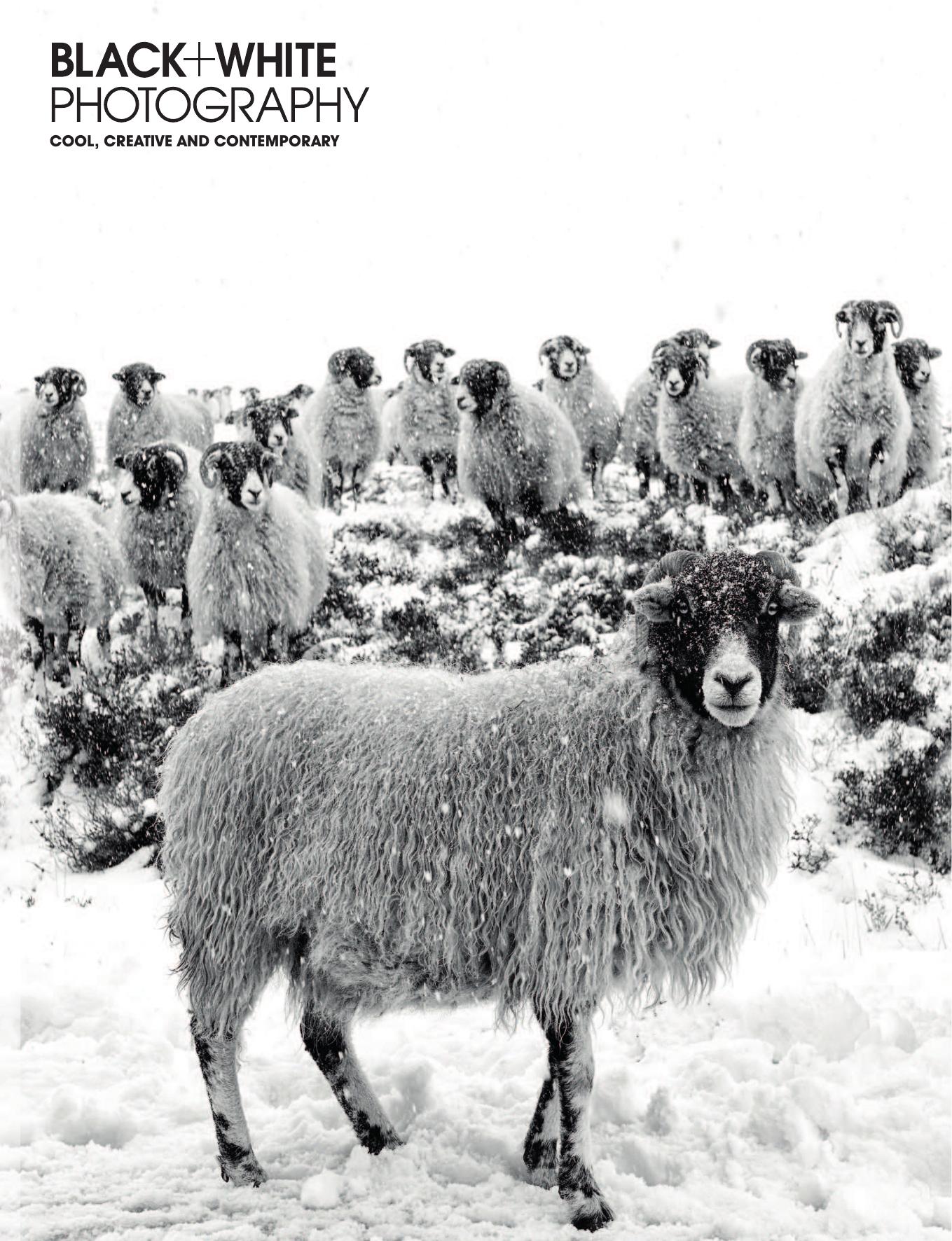 Black + White Photography - Issue 248 - January 2021 by Unknow