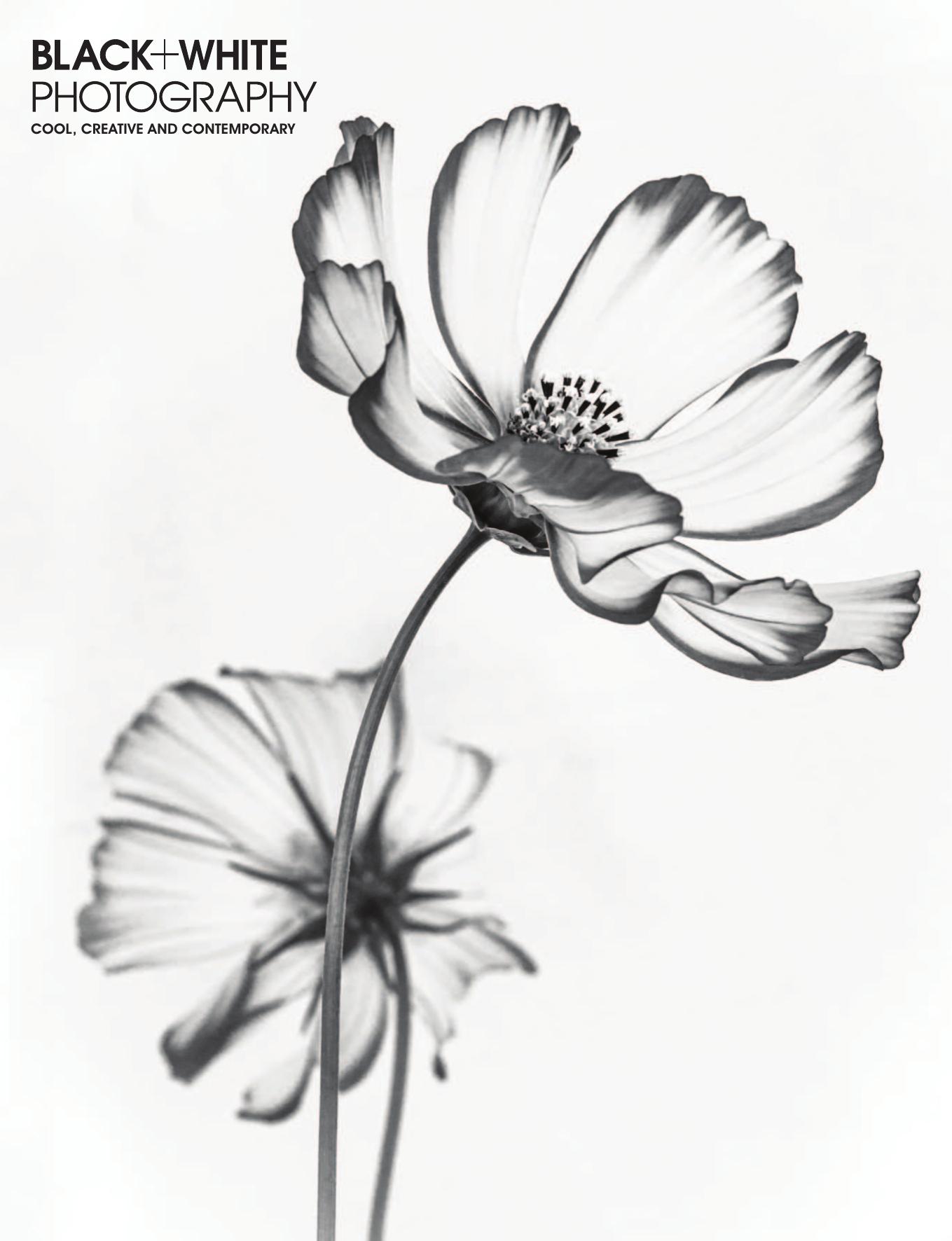 Black + White Photography - July 2020 by Unknow