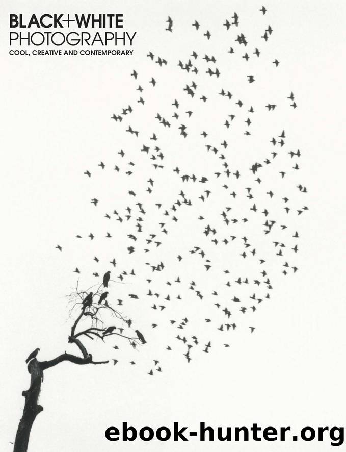 Black + White Photography Issue â 237 (January 2020) by Elizabeth Roberts (Editor In Chief)