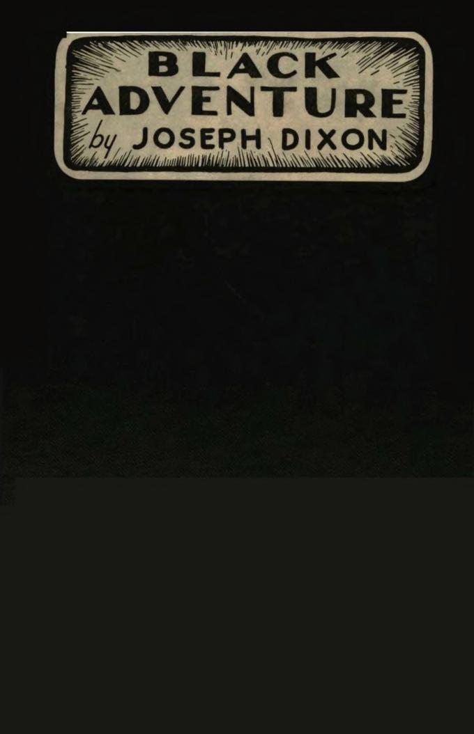 Black Adventure (1933) by Joseph Dixon