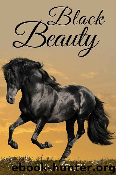 Black Beauty (Illustrated) by Sewell Anna