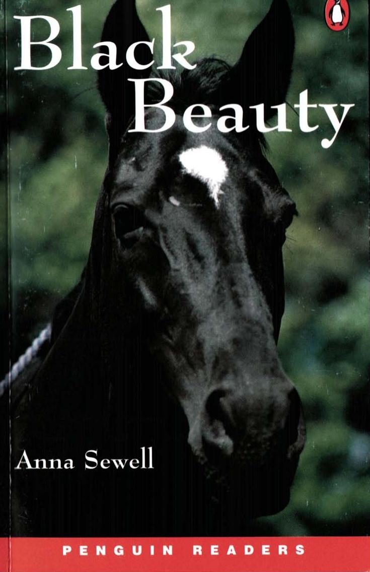 Black Beauty (level 2) by Unknown