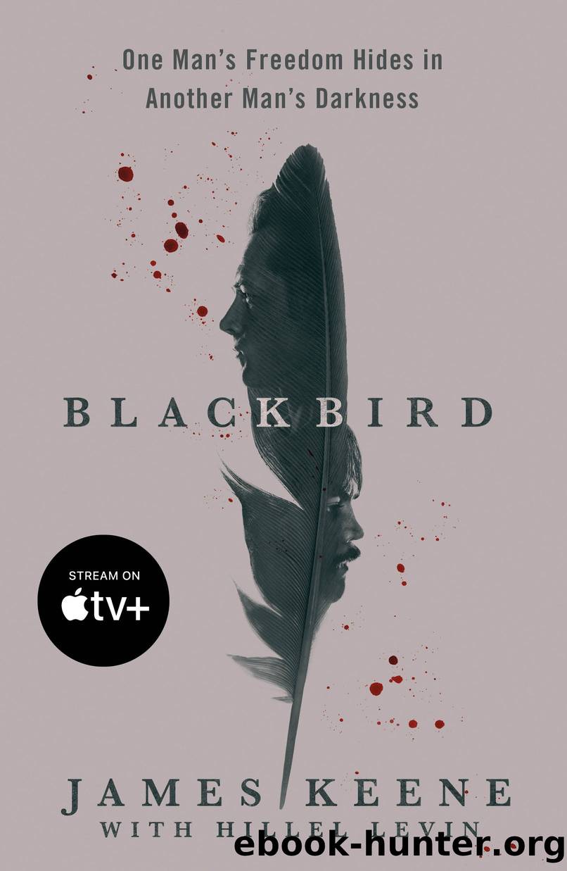 Black Bird by James Keene
