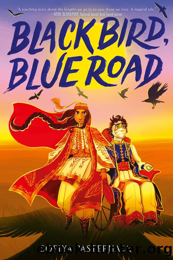 Black Bird, Blue Road by Sofiya Pasternack