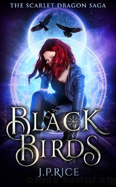 Black Birds by J P Rice