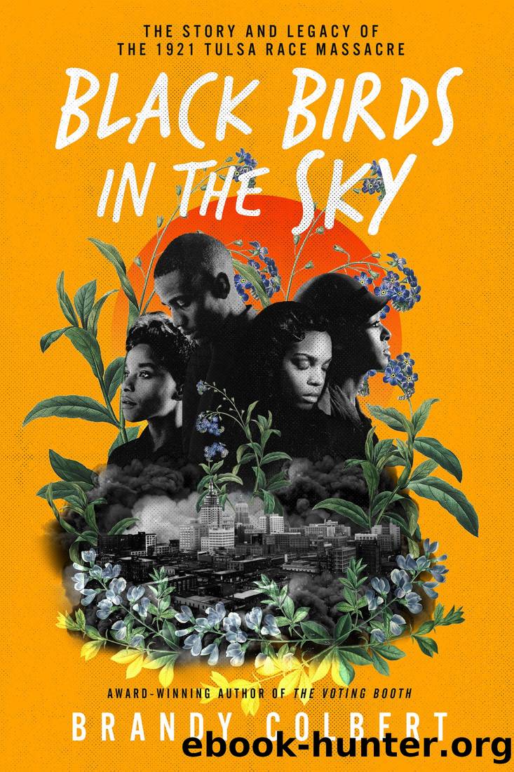 Black Birds in the Sky: The Story and Legacy of the 1921 Tulsa Race Massacre by Brandy Colbert