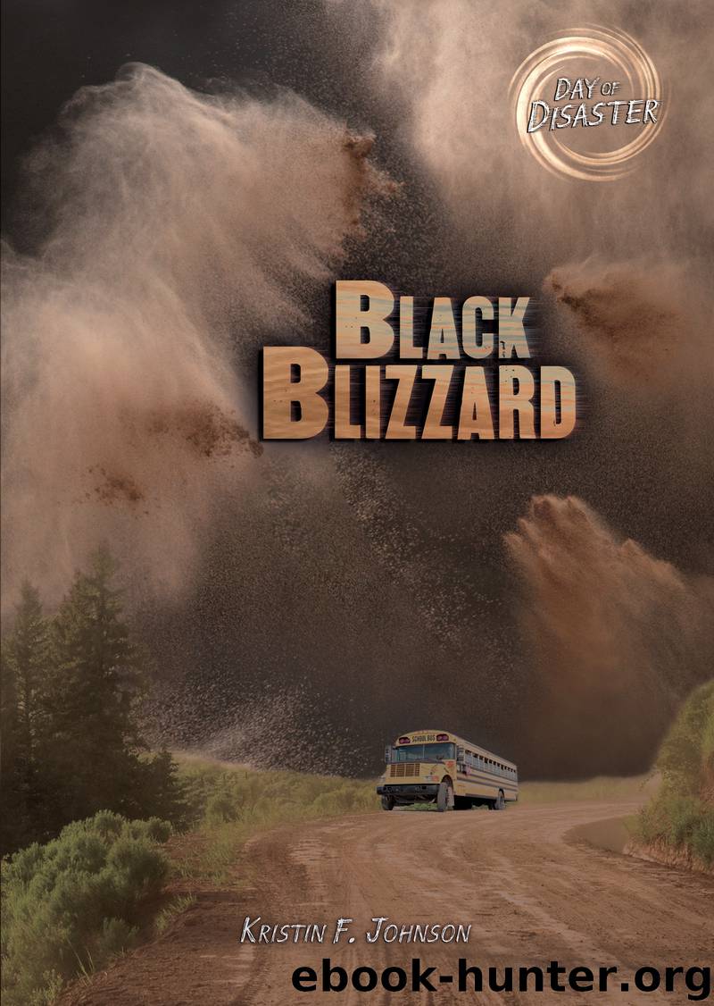 Black Blizzard by Kristin F. Johnson