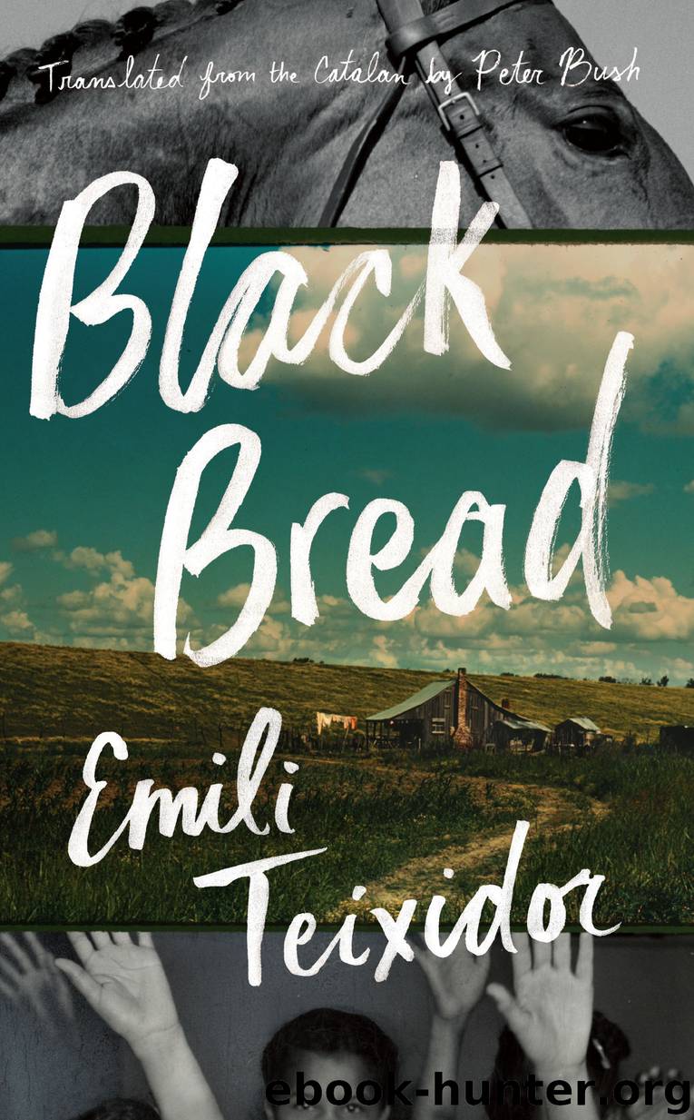 Black Bread by Emili Teixidor
