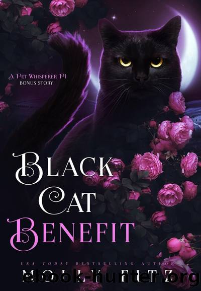 Black Cat Benefit by Molly Fitz
