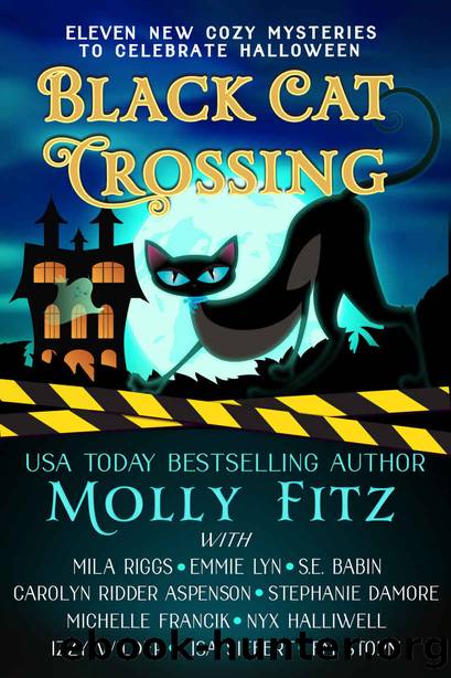 Black Cat Crossing by unknow