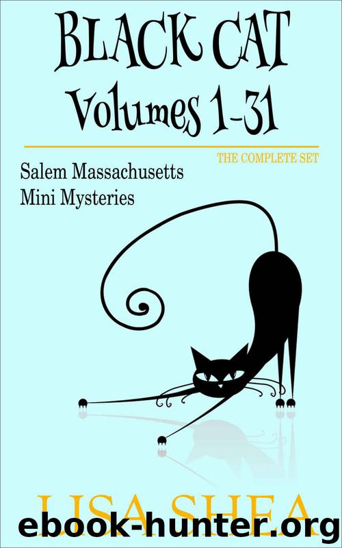 Black Cat Vols. 1-31: The Salem Massachusetts Mini Mysteries by Lisa Shea