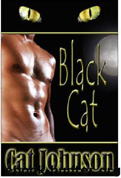 Black Cat by Cat Johnson