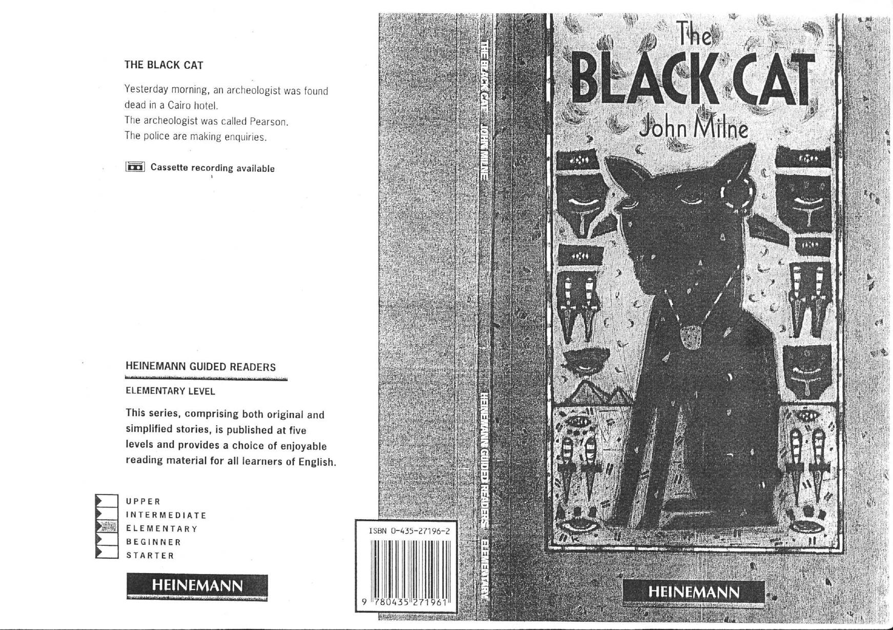 Black Cat by Unknown