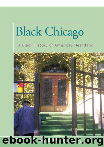 Black Chicago by Hawkins Odie;