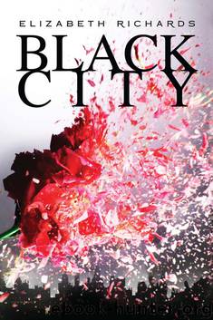Black City by Richards Elizabeth