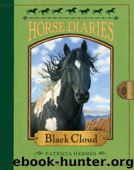 Black Cloud by Patricia Hermes