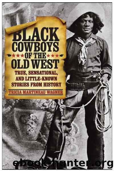 Black Cowboys of the Old West by Tricia Martineau Wagner