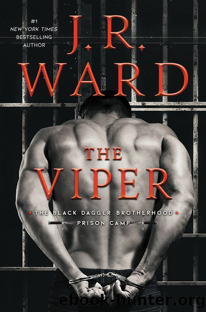 Black Dagger Brotherhood 35: The Viper (Prison Camp 3) by J.R. Ward