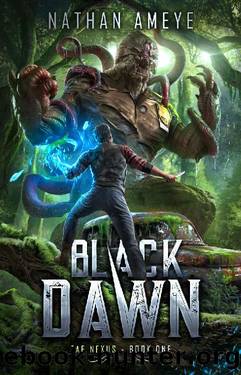 Black Dawn: An Apocalyptic LitRPG Adventure (Fae Nexus Book 1) by Nathan Ameye