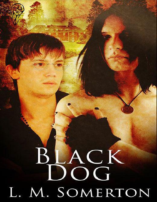 Black Dog by L.M. Somerton