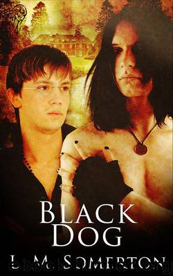 Black Dog by Somerton L.M
