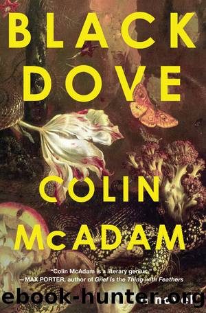 Black Dove by Colin McAdam