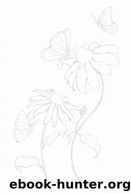 Black Eyed Susan and Butterflies by Unknown