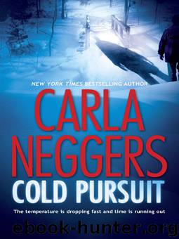Black Falls 01 - Cold Pursuit by Carla Neggers