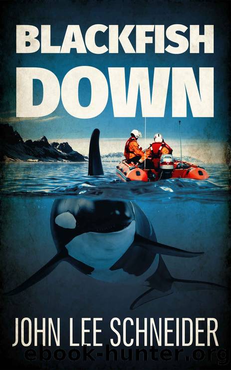 Black Fish Down by John Lee Schneider