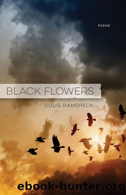 Black Flowers by Doug Ramspeck
