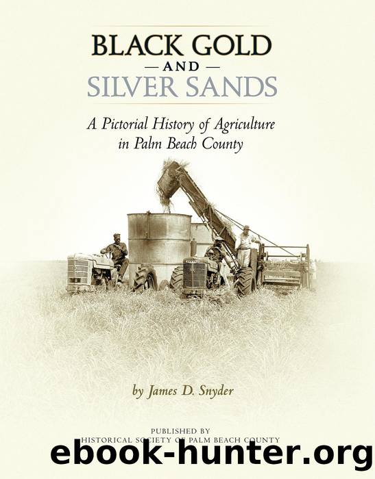 Black Gold and Silver Sands by James D. Snyder