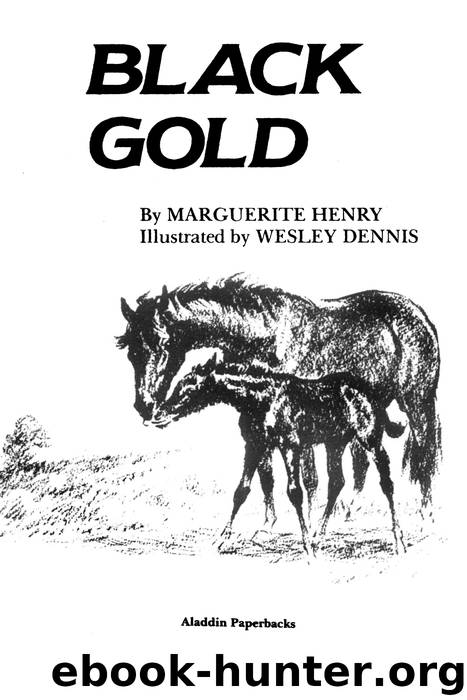 Black Gold by Marguerite Henry
