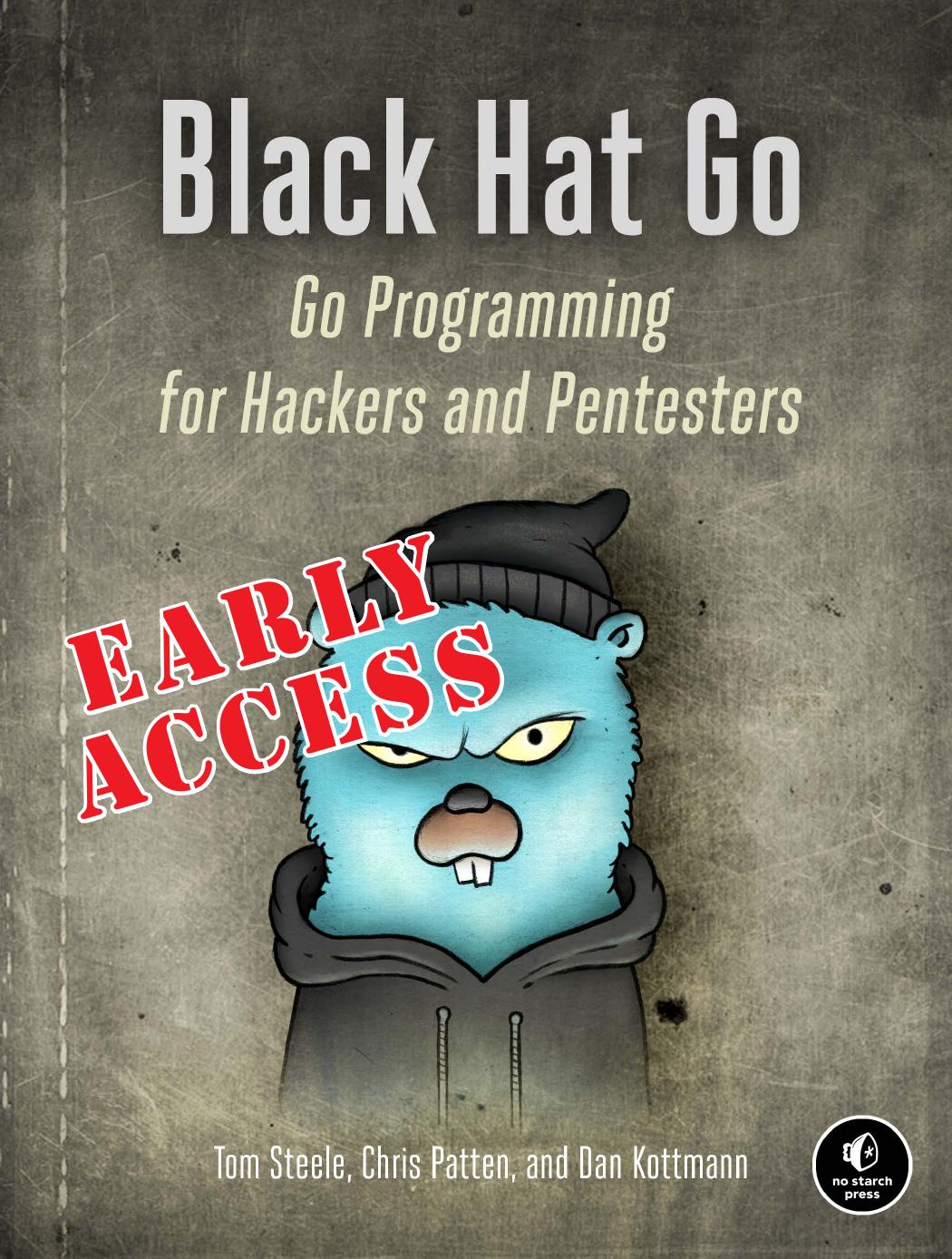 Black Hat Go Go Programming For Hackers and Pentesters Early Access by Unknown
