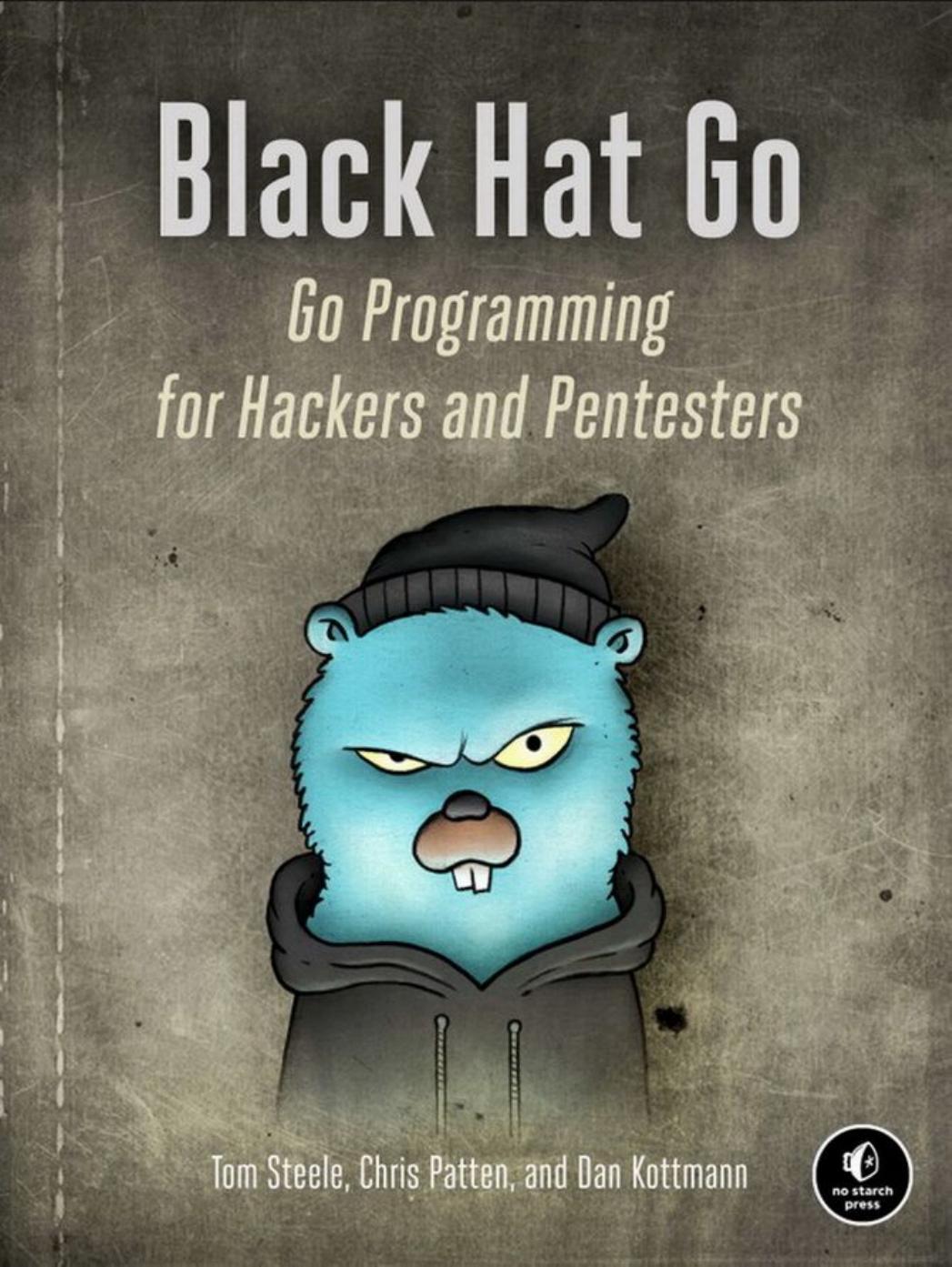 Black Hat Go. Go Programming For Hackers and Pentesters (Final Version) by Unknown