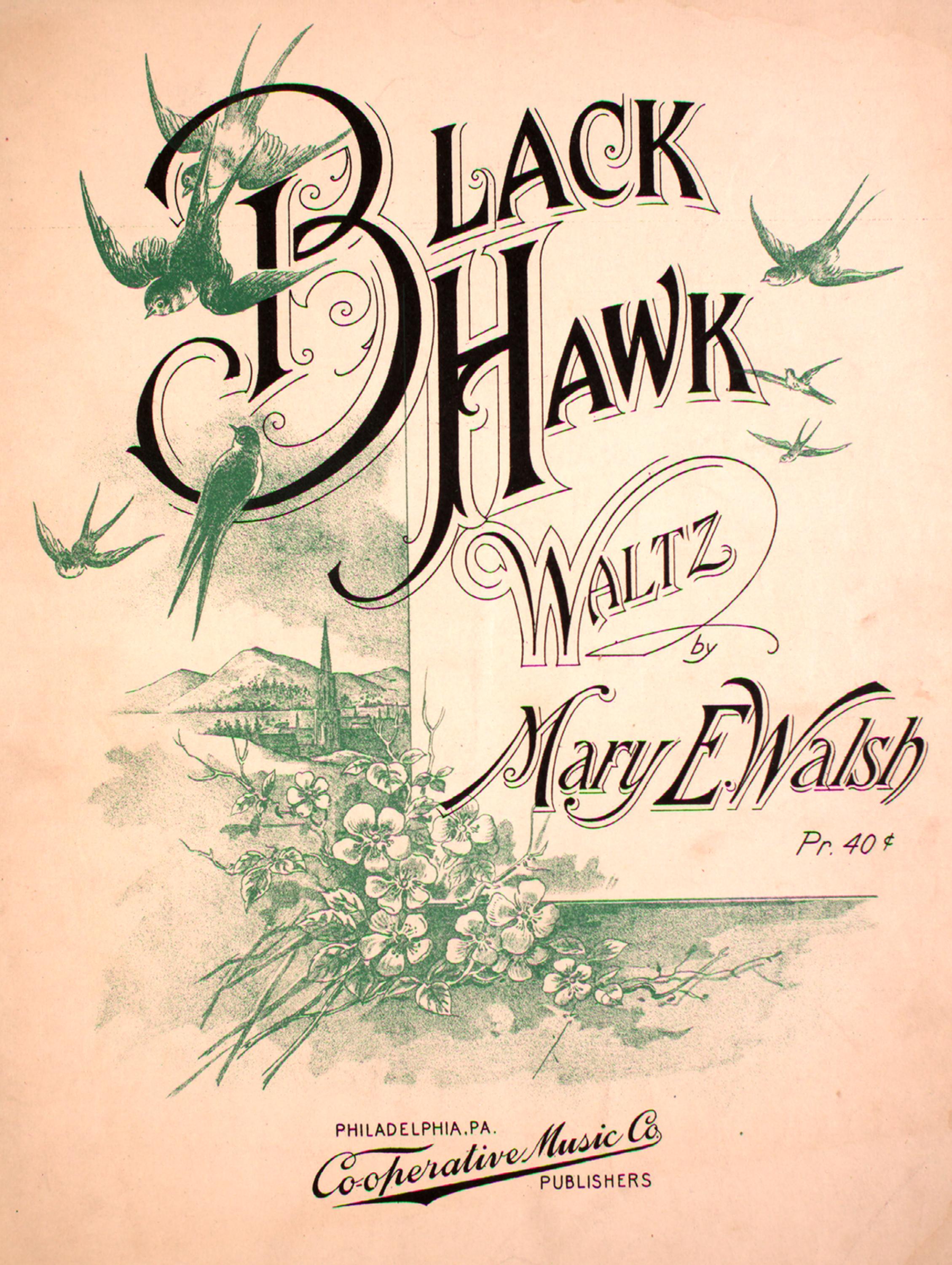Black Hawk Waltz by Unknown